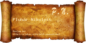 Pluhár Nikolett névjegykártya